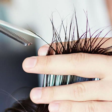 Scissors and Science  The Art of Hairdressing