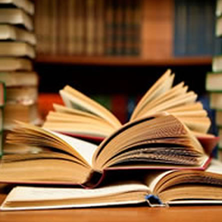 Where Can an English Degree Take You?