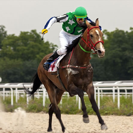 Ruby Walsh  - My Career as a Jockey