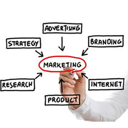 A Day in the Life of a Marketing Manager