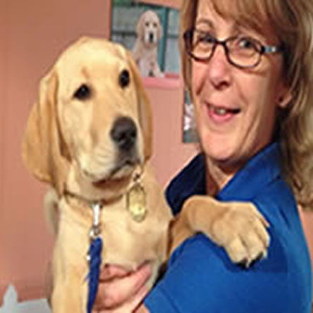 Life as a guide dog puppy trainer