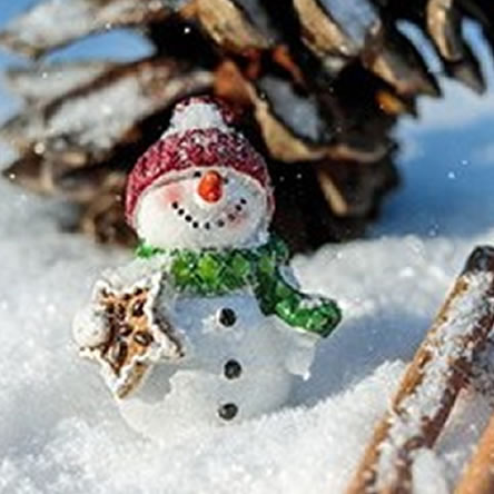 5 Tips for 6th Years to Get Ahead over the Christmas Holidays