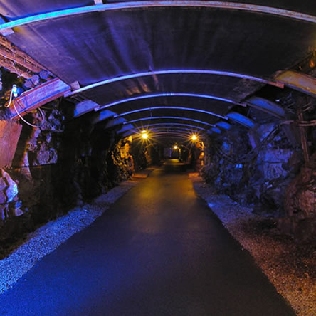 Manager - Arigna Mining Experience