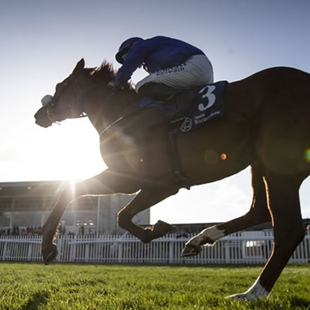 Tony Mcmanmon - Racecourse Builder 