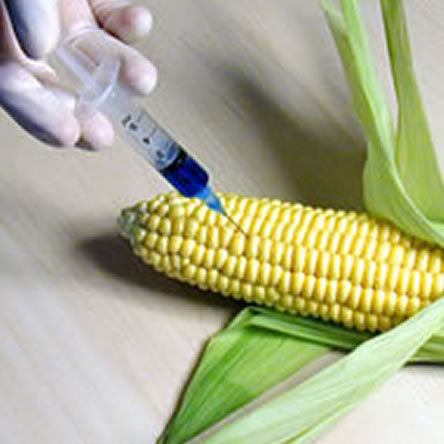 A career in Food Science