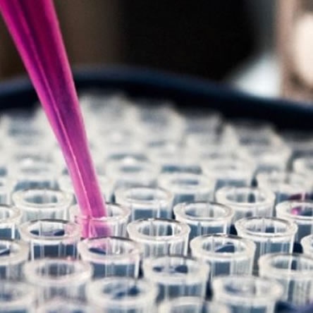 Exploring Science Careers - QUALITY CONTROLLER