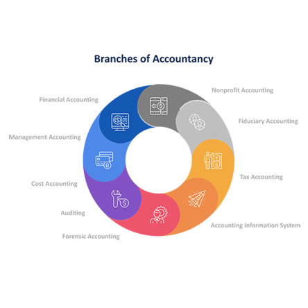 Career Change - From Veterinary to Accountancy 