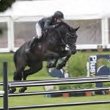 Career Profile - Equine - Horsemanship