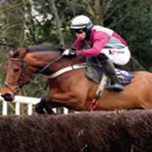 Career Profile - Equine - Stud Management