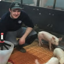 Career Profile - Pig Management
