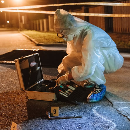 A day in the life of a Forensic Physicist 