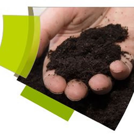 Thinking of a Career as an Environmental Chemist?