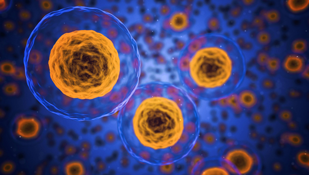 Biomedical Technologies & Medtech